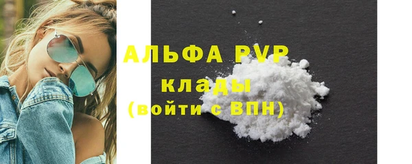 прущие грибы Богородицк