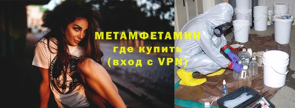 прущие грибы Богородицк