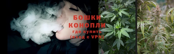 прущие грибы Богородицк