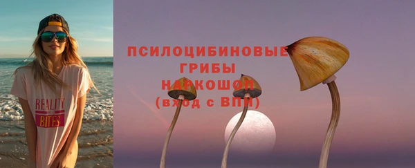 mdma Богданович