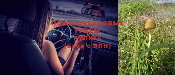 прущие грибы Богородицк