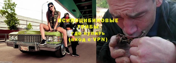 прущие грибы Богородицк
