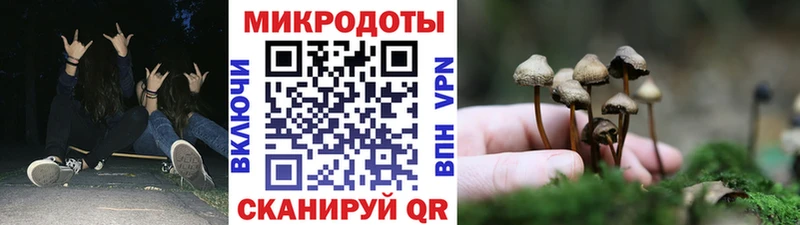 Галлюциногенные грибы Magic Shrooms  Ялуторовск 